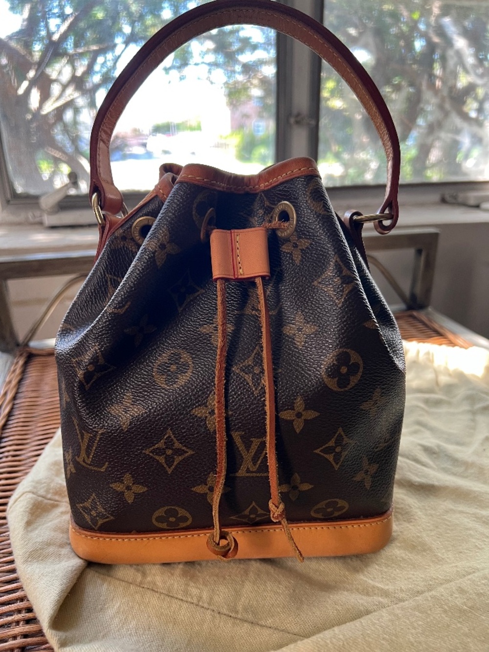 Louis Vuitton Mini Noe